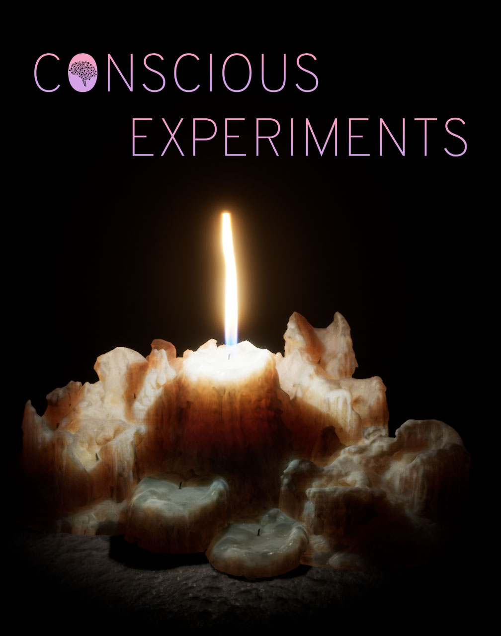 Conscious Experiments
